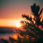 博客多平台运营策略:让你的内容触达更多受众 2lafdmfv