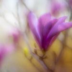 参与e世博娱乐的最佳策略与技巧分享,让你赢得更多 4p5fpy