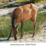 博联娱乐:探索新兴娱乐产业的无限可能性 4vnhy