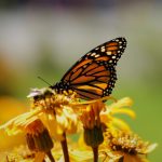 博必发娱乐的安全性与用户隐私保护措施详解 e3gt442a