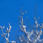 博喜体育:探索体育产业的新兴趋势与发展潜力 imx1gc4rkv