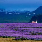 吉祥坊平台:探索全新在线博彩体验的最佳选择 nni2a8836y