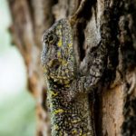 博天堂官方网站:探索最新在线娱乐和游戏体验 s2x1e0