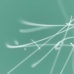 合乐娱乐:如何在这里找到志同道合的朋友 v7p7dfwyk6