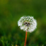 3d120期历史开奖号码完整数据统计与详细分析 67cdb