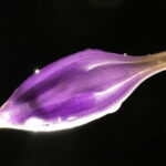 17130期体彩开奖结果公布最新号码查询 78ome5