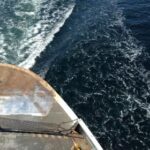 3d101期开奖号最新公布结果与详细中奖号码查询 99k6mq730