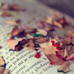 17096期最新开奖结果查询与中奖号码公布 f3wx4ucpxf