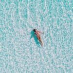 17138期大乐透开奖结果及最新中奖号码公布 h49guu0