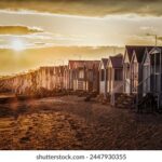 17123期任九开奖结果揭晓,大奖花落谁家引关注 lxvi3