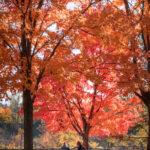 3d107期开奖号码结果查询与最新公布详情 qvh5f0