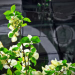 3d097期开奖历史回顾与详细数据分析 rcyxki0