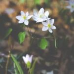 3d134期最新开奖结果查询与详细数据分析 tnqvf7i