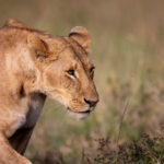 17100期体彩开奖结果公布:大奖花落谁家引关注 usx381lm6z