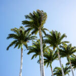 17119期排列五开奖结果最新公布,大奖花落谁家? x6cn488i3